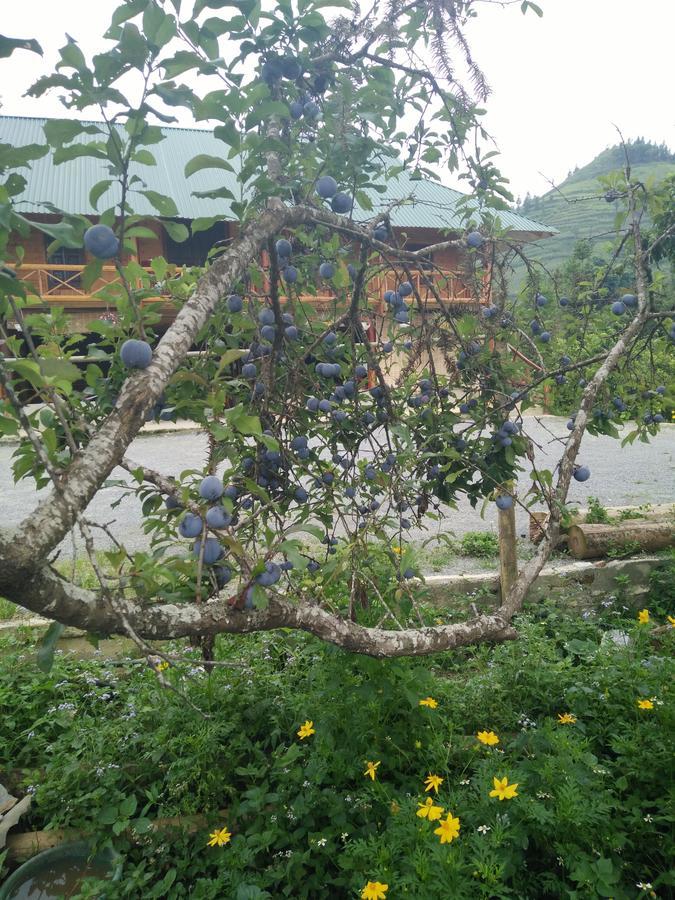 Flower Hmong Homestay Bac Ha  Exterior foto